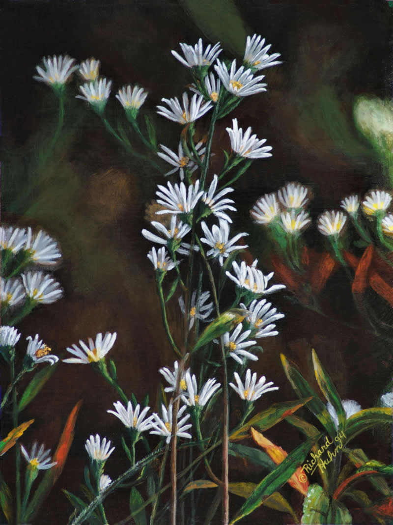 Wildflowers